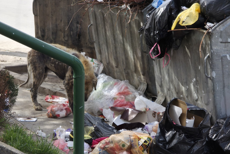 Загрижен прилепчанец за хигиената во градот