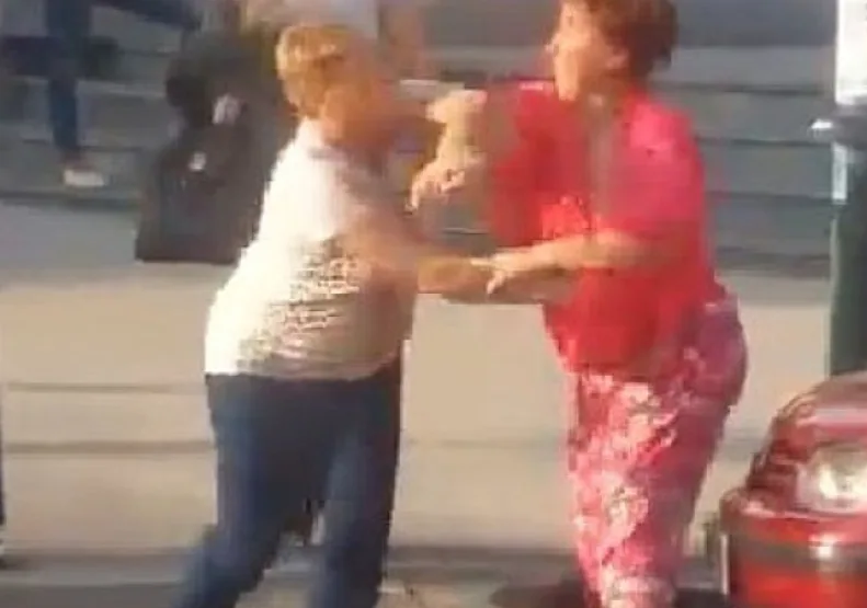 Инцидент во Скопје: Повеќе жени учествувале во тепачка6