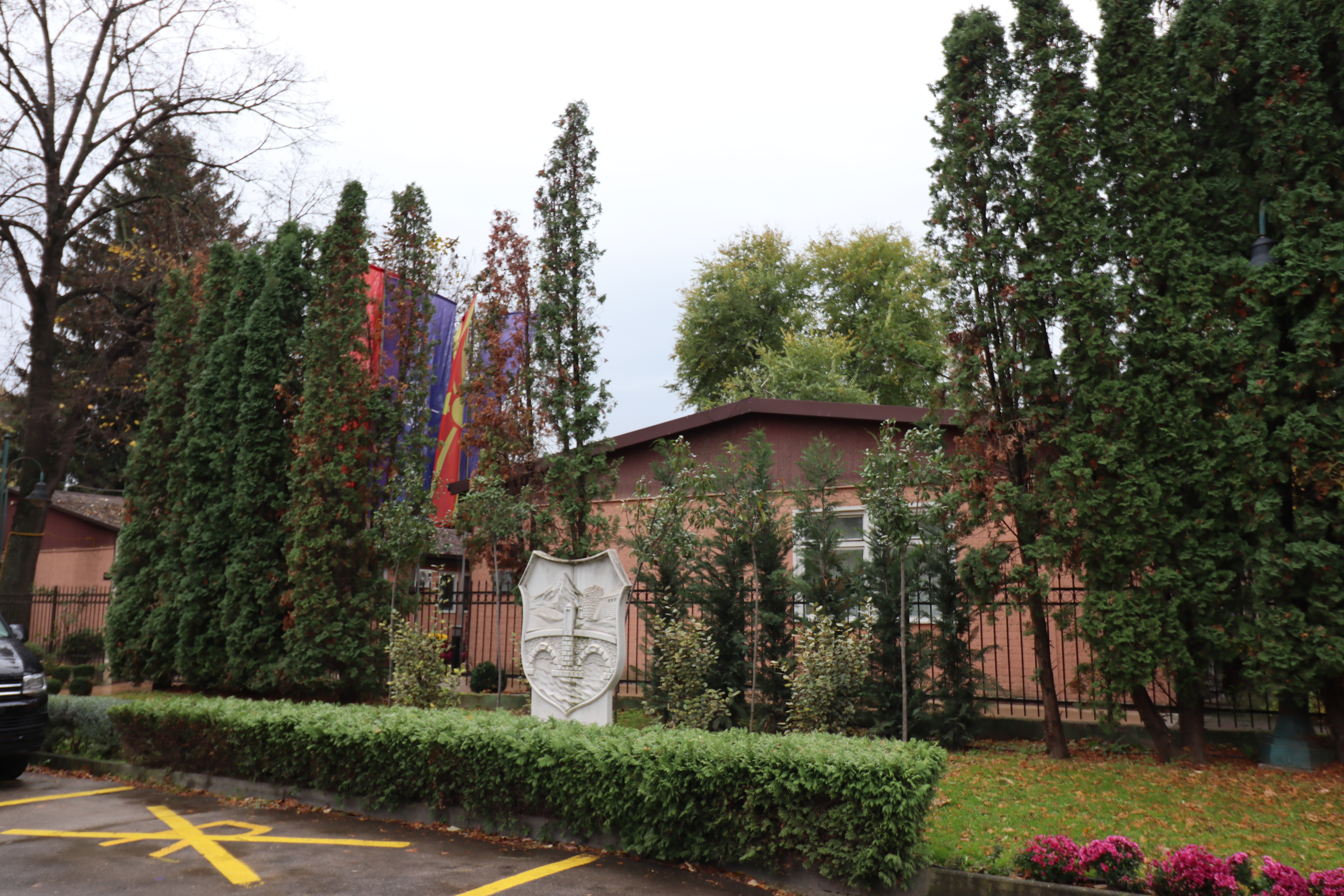 Град Скопје исплатил 750.000 евра за отштети од напади на бездомни кучиња во 2025 година