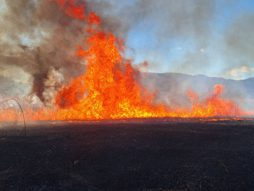 Пожар во струмичко кај селата Вељуса и Ангелци