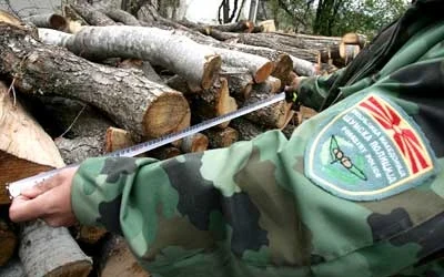Запленети 19 кубици нелегални дрва во Делчево и Бигла